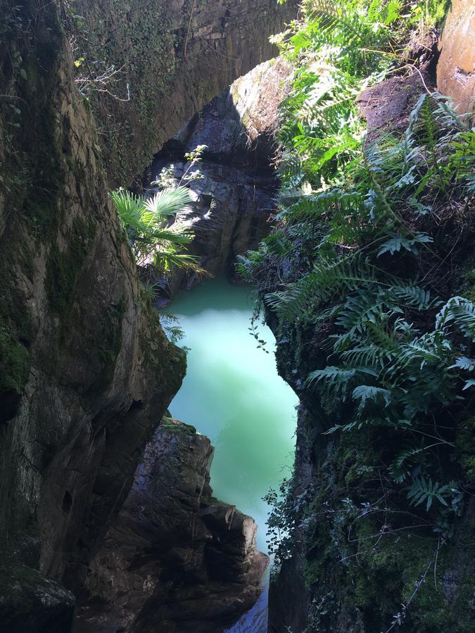 Riflessi Di Lago Dorio المظهر الخارجي الصورة
