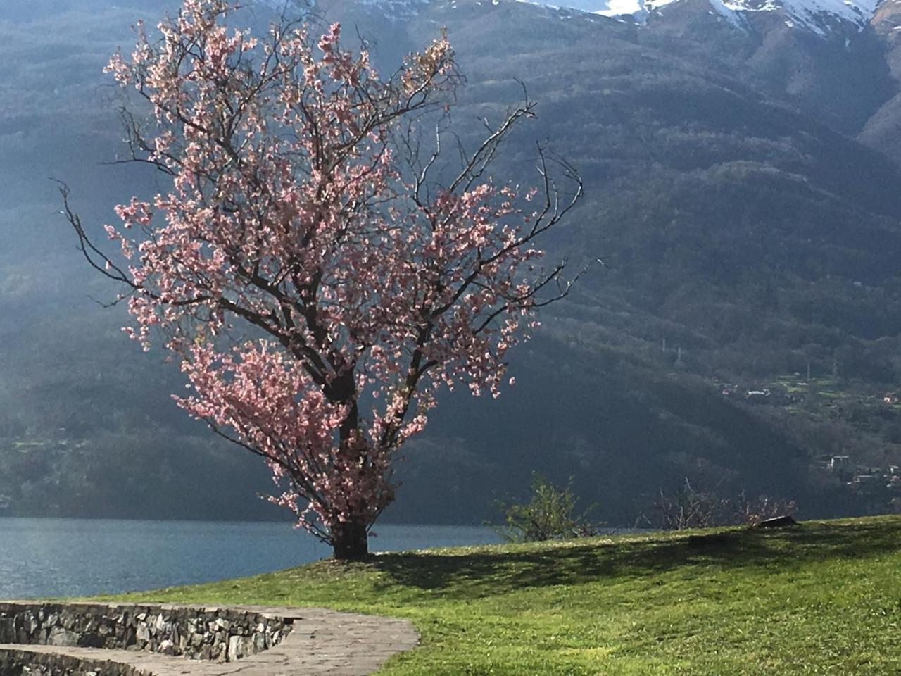 Riflessi Di Lago Dorio المظهر الخارجي الصورة